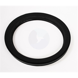 DOOR GLASS GASKET